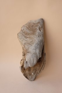 流木　オブジェ　荒波 変形・その他流木 - 流木素材市場 阿波遊木