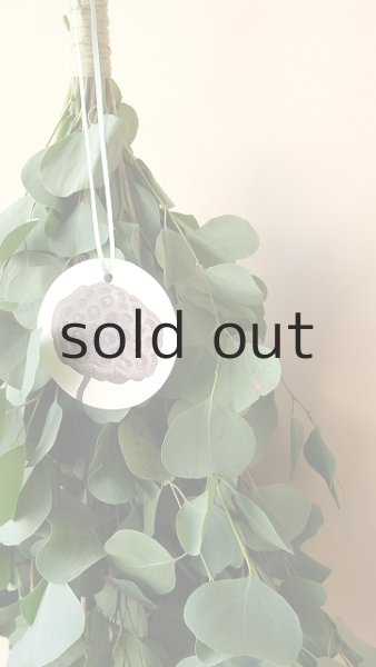 画像4: Dry plants for decor ユーカリ+ゴールドスティックシンプルスワッグ (4)