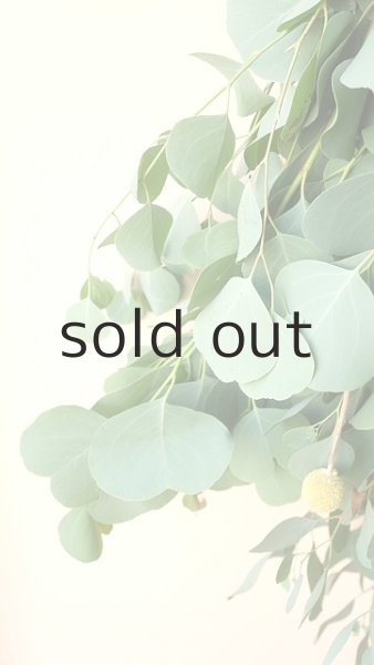 画像3: Dry plants for decor ユーカリ+ゴールドスティックシンプルスワッグ (3)