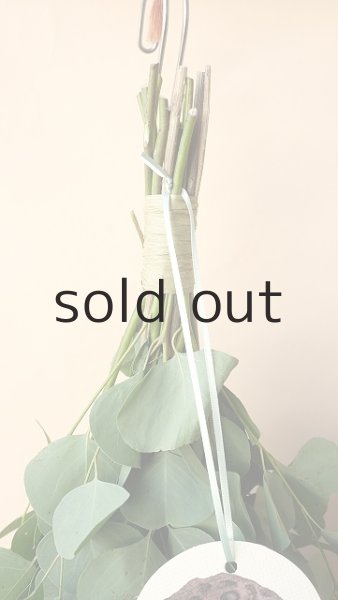 画像2: Dry plants for decor ユーカリ+ゴールドスティックシンプルスワッグ (2)