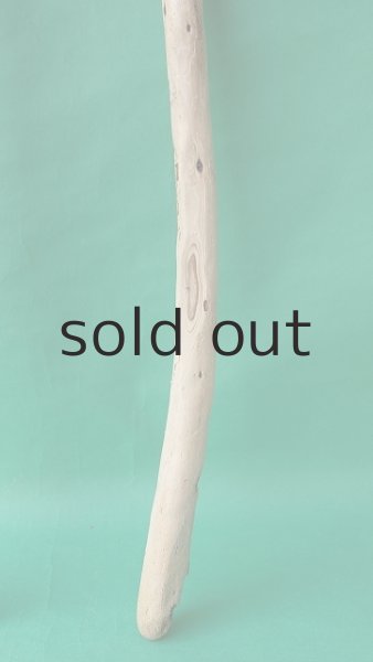 画像5: 棒流木 (5)