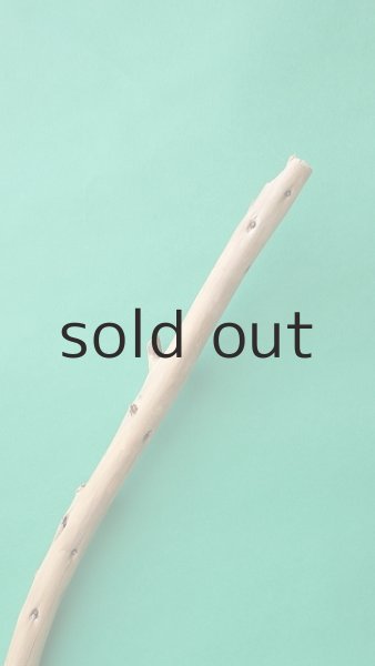 画像4: 棒流木 (4)