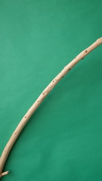 画像4: 棒流木 (4)