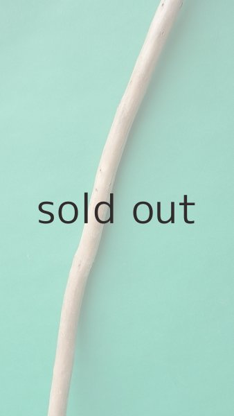 画像3: 棒流木 (3)