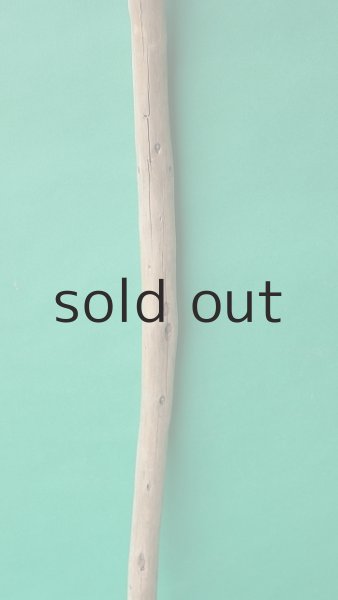 画像3: 棒流木 (3)