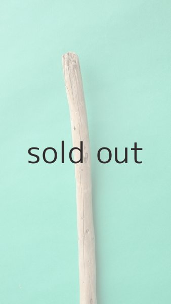 画像4: 棒流木 (4)