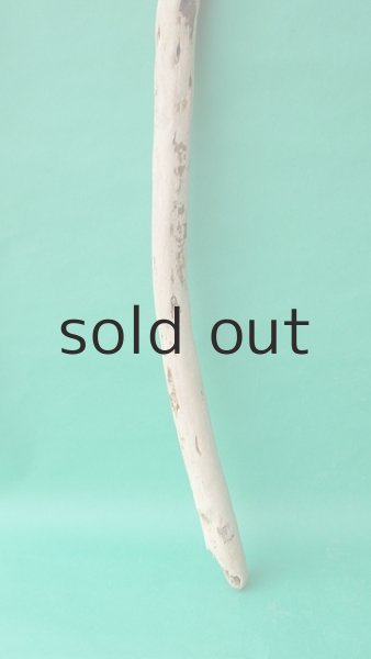 画像2: 棒流木 (2)