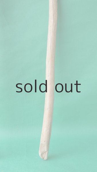 画像5: 棒流木 (5)