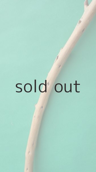 画像3: 棒流木 (3)