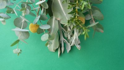 画像3: Dry plants for decor ユーカリ4種ミックススワッグ