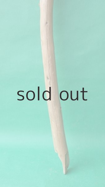 画像2: 棒流木 (2)