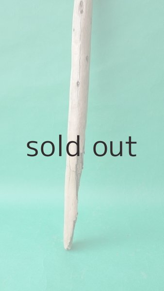 画像2: 棒流木 (2)