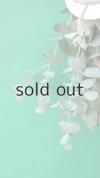 画像2: Dry plants for decor ユーカリ4種ミックススワッグ (2)