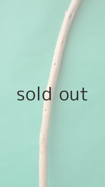 画像3: 棒流木 (3)