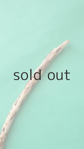 画像4: 棒流木 (4)