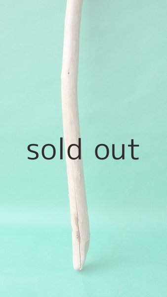 画像2: 棒流木 (2)