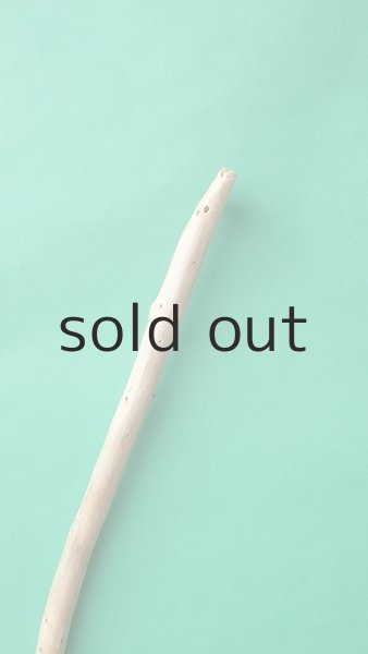 画像4: 棒流木 (4)