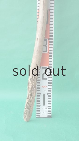 画像5: 棒流木 (5)