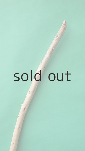 画像4: 棒流木 (4)