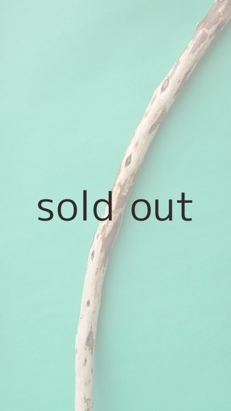 画像3: 棒流木 (3)