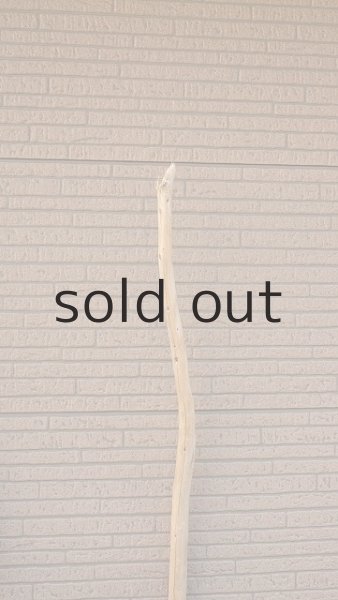 画像6: 大型　幹 (6)