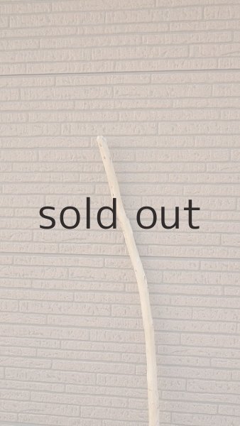 画像5: 大型　幹 (5)