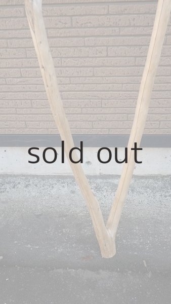 画像2: 大型　幹 (2)