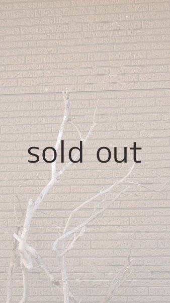 画像5: 大型 幹 (5)