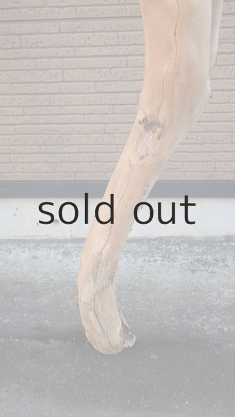 画像6: 大型　幹 (6)