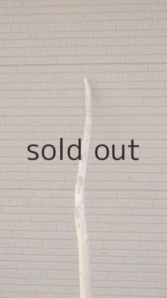 画像10: 大型　幹 (10)