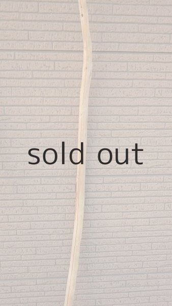 画像7: 大型　幹 (7)