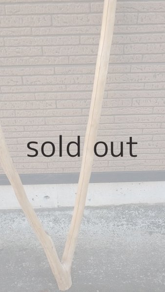 画像3: 大型　幹 (3)