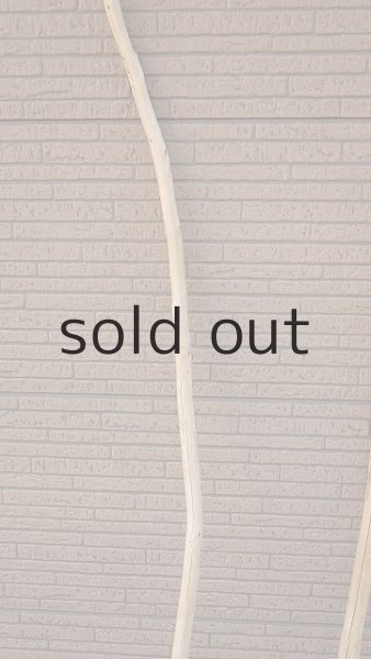 画像4: 大型　幹 (4)