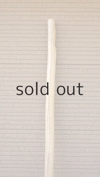 画像4: 棒流木・長尺 (4)