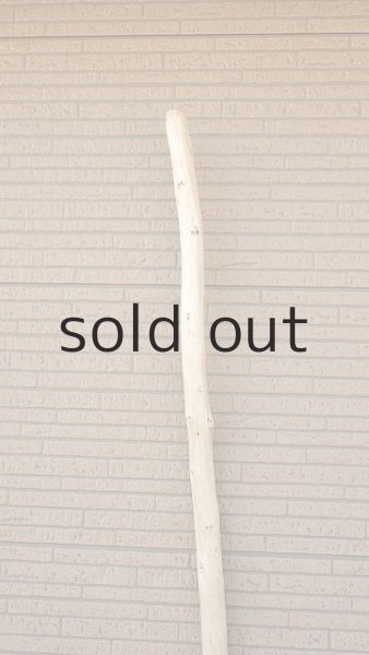 画像4: 棒流木・長尺 (4)