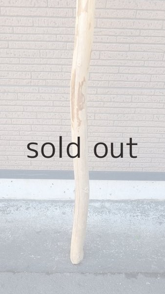 画像2: 棒流木・長尺 (2)