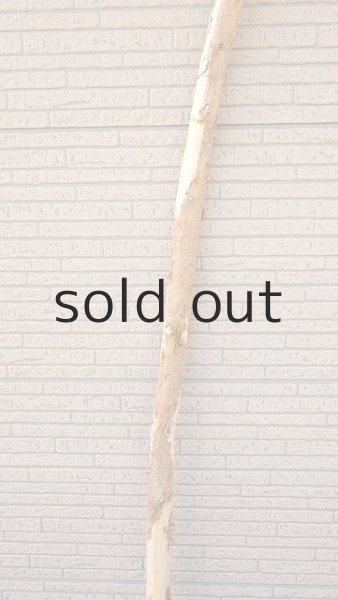 画像3: 棒流木・長尺 (3)