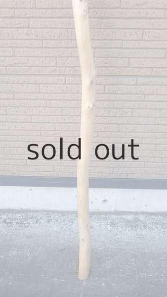 画像2: 棒流木・長尺 (2)