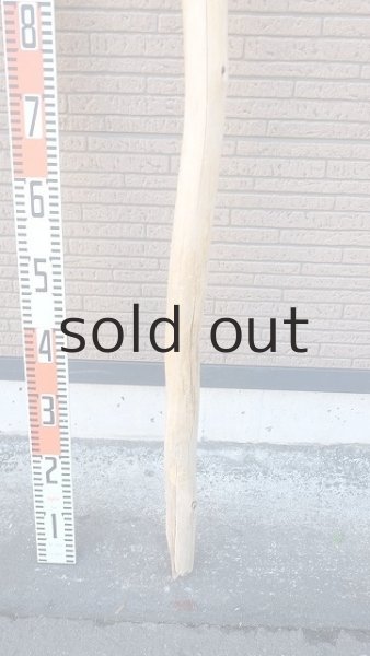 画像5: 棒流木・長尺 (5)