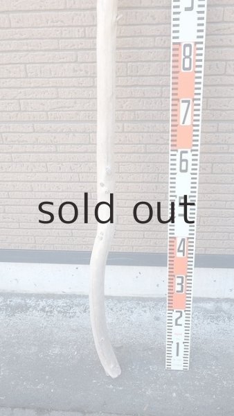 画像5: 棒流木・長尺 (5)