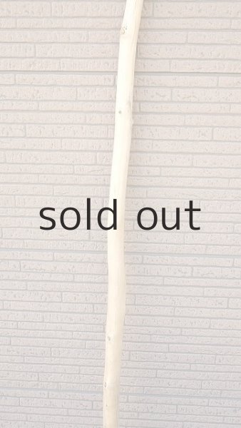 画像3: 棒流木・長尺 (3)