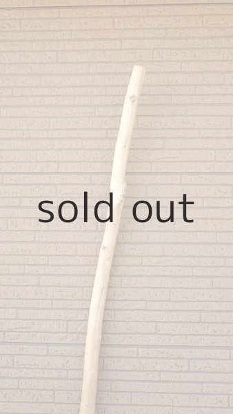 画像4: 棒流木・長尺 (4)