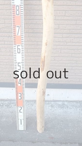 画像5: 棒流木・長尺 (5)