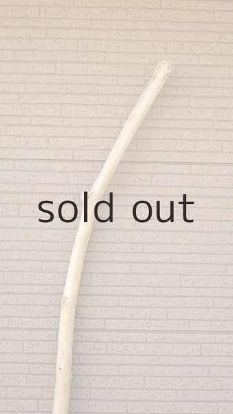 画像4: 棒流木・長尺 (4)