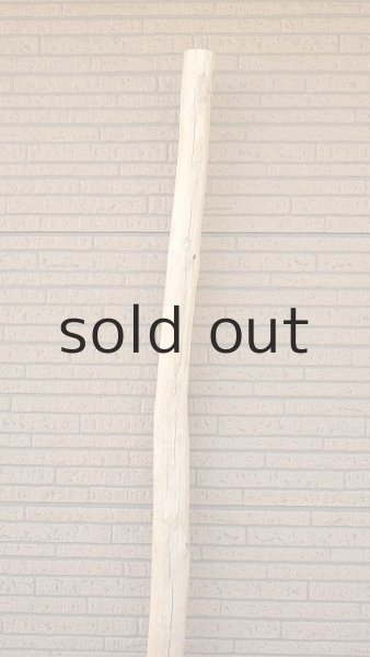 画像4: 棒流木・長尺 (4)