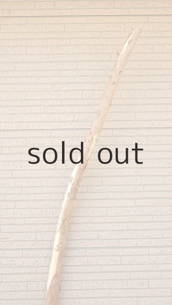 画像4: 棒流木・長尺 (4)