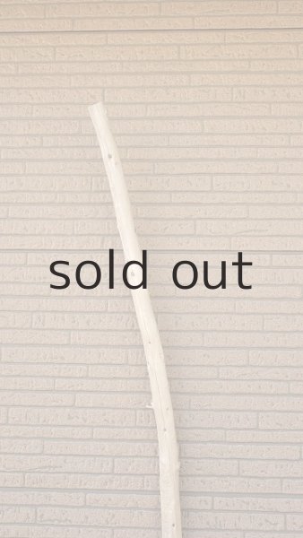 画像4: 棒流木・長尺 (4)