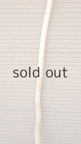 画像3: 棒流木・長尺 (3)