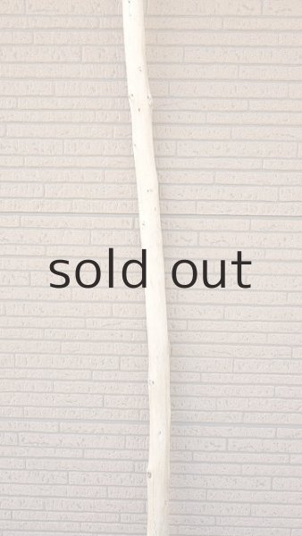 画像3: 棒流木・長尺 (3)