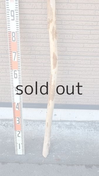 画像5: 棒流木・長尺 (5)